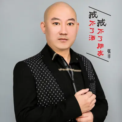戒不了酒戒不了朋友封面