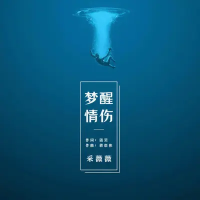 梦醒情伤封面