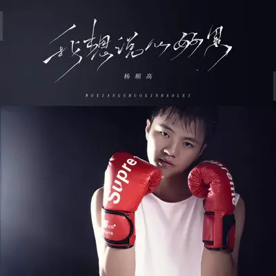 我想说心好累(男版)(DJ阳少版)封面