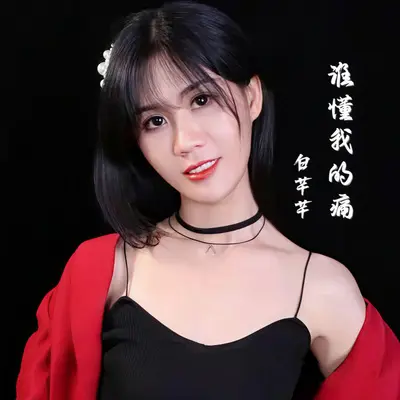 谁懂我的痛(DJ阳少版)封面
