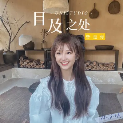 目及之处皆是你封面