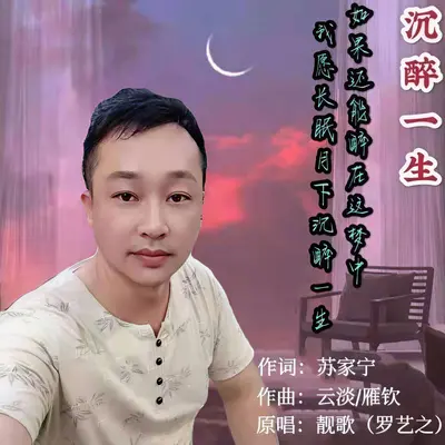 沉醉一生封面