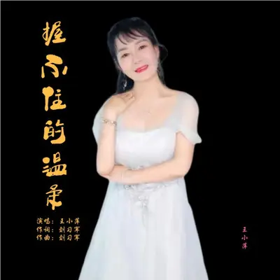 握不住的温柔封面