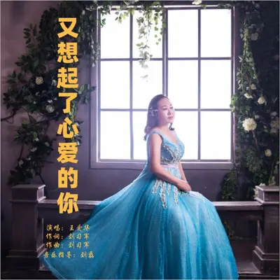 又想起了心爱的你（DJ版） - 王爱华封面