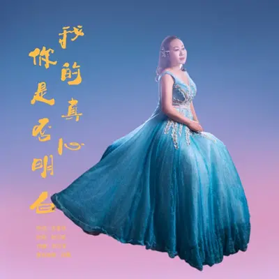 我的真心你是否明白（DJ晓朋版）封面