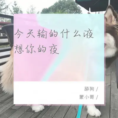 卑微倾慕封面