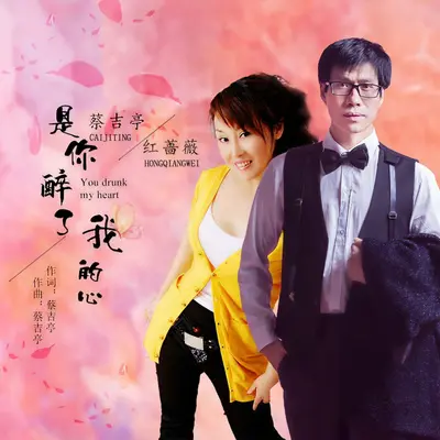 是你醉了我的心（DJ版）封面