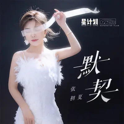 默契 - 张初夏封面