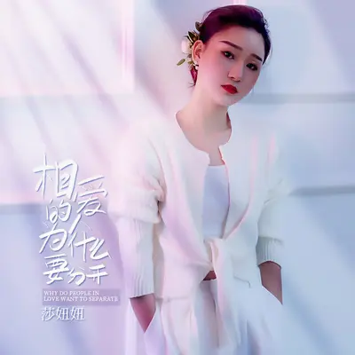 相爱的人为什么要分开 （DJ沈念版） - 莎妞妞封面