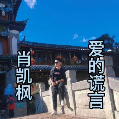 你把我伤透了（粤语版）封面