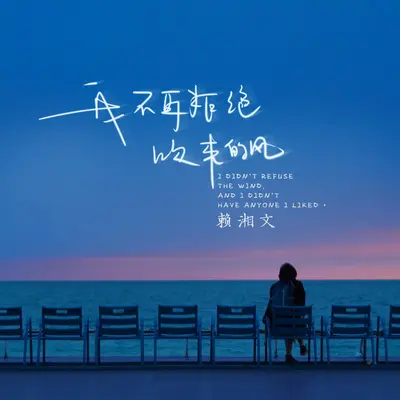 我不再拒绝吹来的风封面