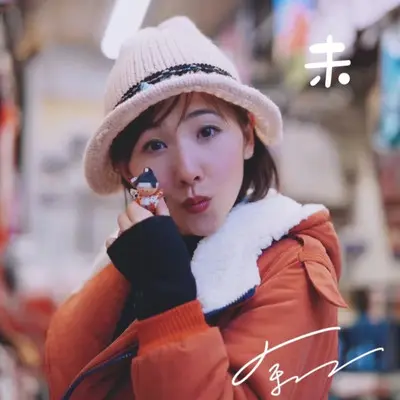 最美的烟火封面
