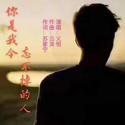 你是我今生忘不掉的人封面