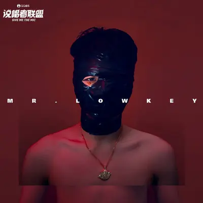 她说封面