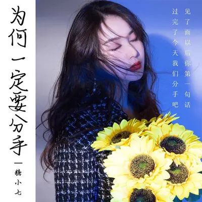 为何一定要分手封面