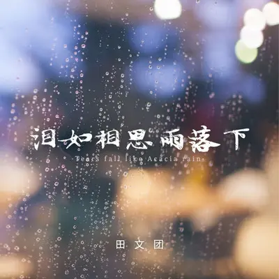 泪如相思雨落下封面