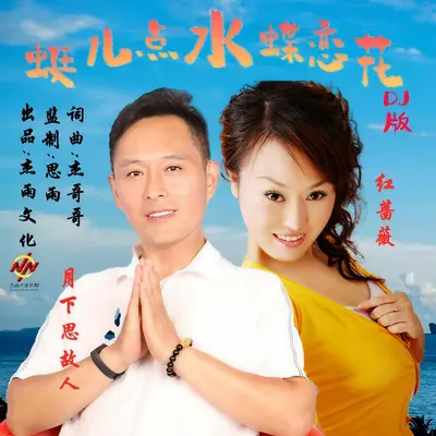 蜓儿点水蝶恋花（dj对唱版）封面