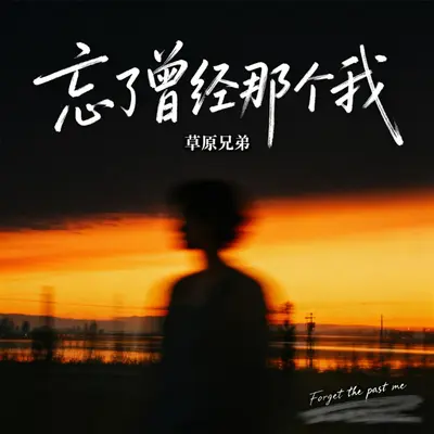 忘了曾经那个我（剪辑版）封面