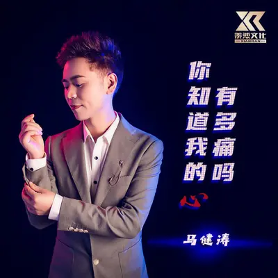 你知道我的心有多痛吗封面