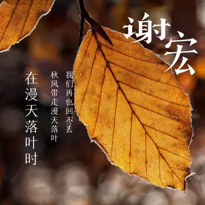 在漫天落叶的广州等你封面