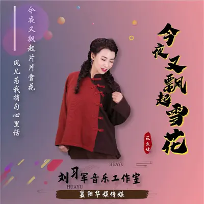 今夜又飘起雪花封面