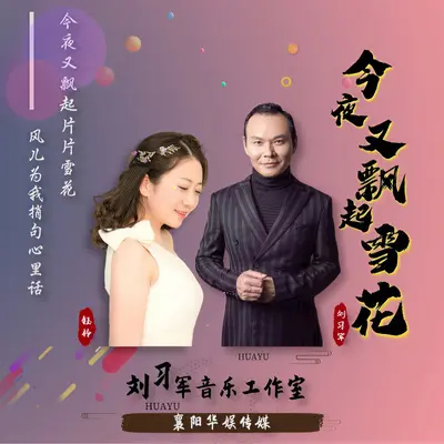 今夜又飘起雪花（对唱版）封面