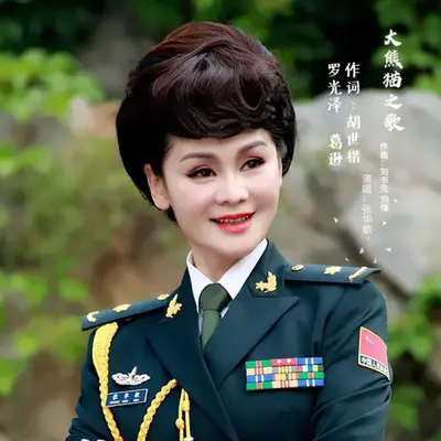 大熊猫之歌封面