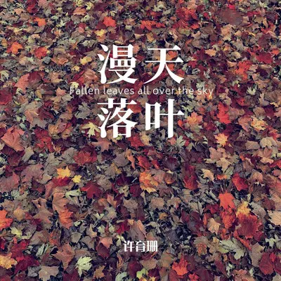 在漫天落叶的广州等你封面