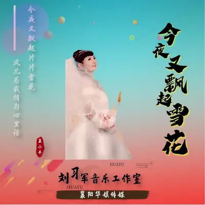 今夜又飘起雪花 - 王小萍封面