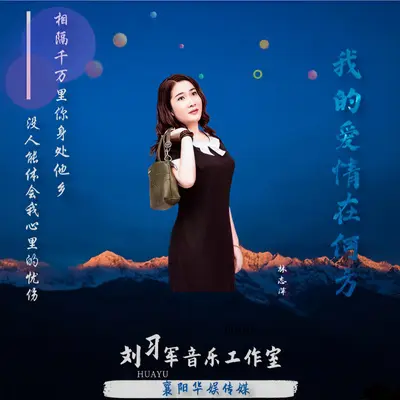 我的爱情在何方（DJ版）封面
