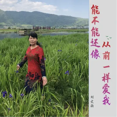 能不能还像从前一样爱我封面