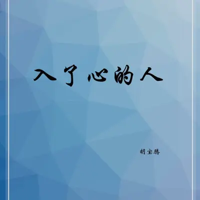 入了心的人（DJ尼保版）封面