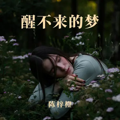 醒不来的梦封面