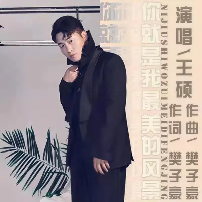 你就是我最美的风景封面