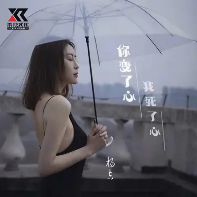 你变了心 我死了心封面