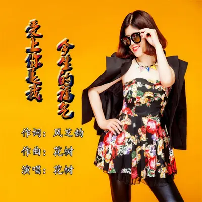 爱上你是我今生的福气封面