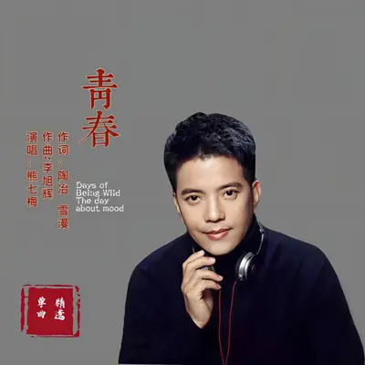 青葱岁月封面