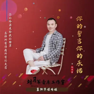 你的誓言你的承诺封面