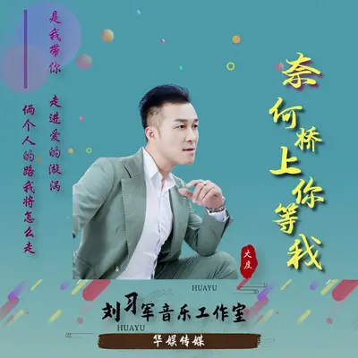 奈何桥上等着我封面