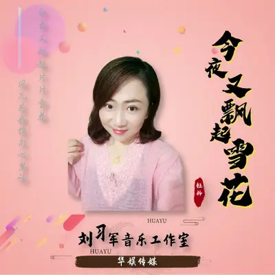 今夜又飘起雪花封面