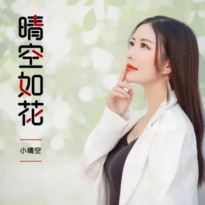晴空如花封面