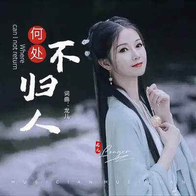 何处不归人 - 龙儿封面