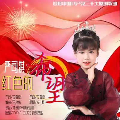 红色的希望封面