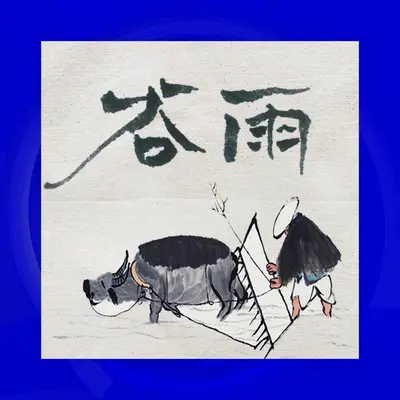 谷雨·雨中路封面