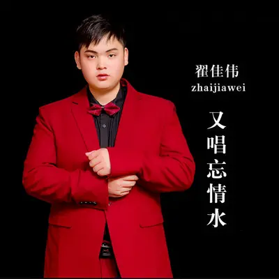 又唱忘情水（DJ伟然版）封面