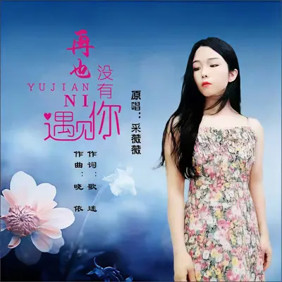 再也没有遇见你（DJ阿能版）封面