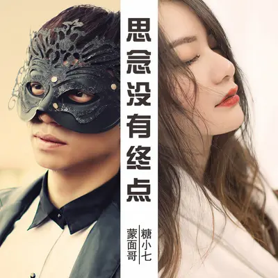 思念没有终点封面
