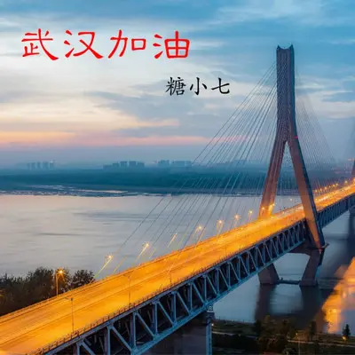 武汉加油封面