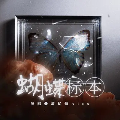 蝴蝶标本封面