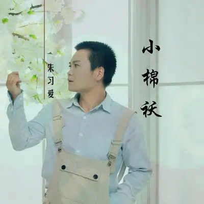 小棉袄（电影《少年黄飞鸿》片尾曲）封面